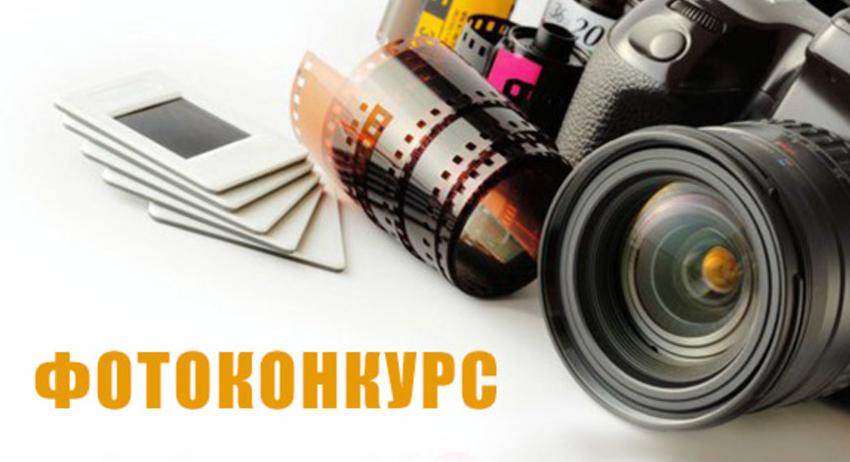 Започва 13-ият фотоконкурс „Живата природа“