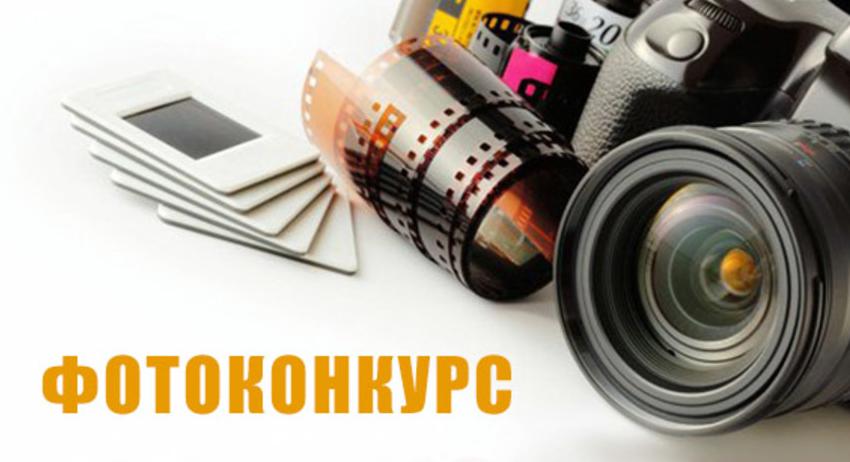 Започва 15-тото издание на фотоконкурса „Живата природа”