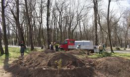 В парка вече има и алпинеум