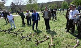 В Ловно стопанство „Воден - Ири Хисар“ се проведе X-то изложение Преглед на паднали рога от благороден елен