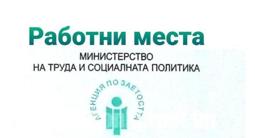 Свободни работни места в област Разград към 16 юни 2025 г.
