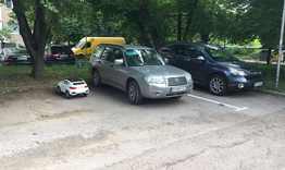 Отговорни родители учат децата си от малки на дисциплина