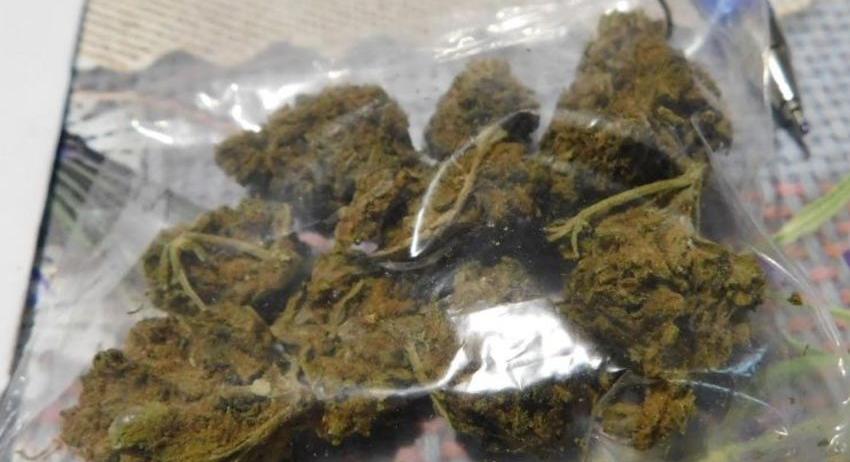 Задържаха двама за разпространение на дрога