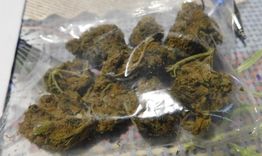 Задържаха двама за разпространение на дрога