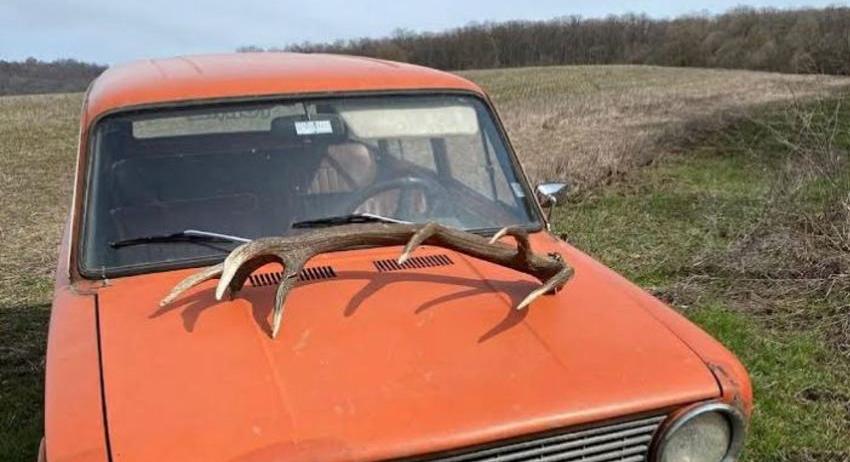 Ловец намери рога от благороден елен