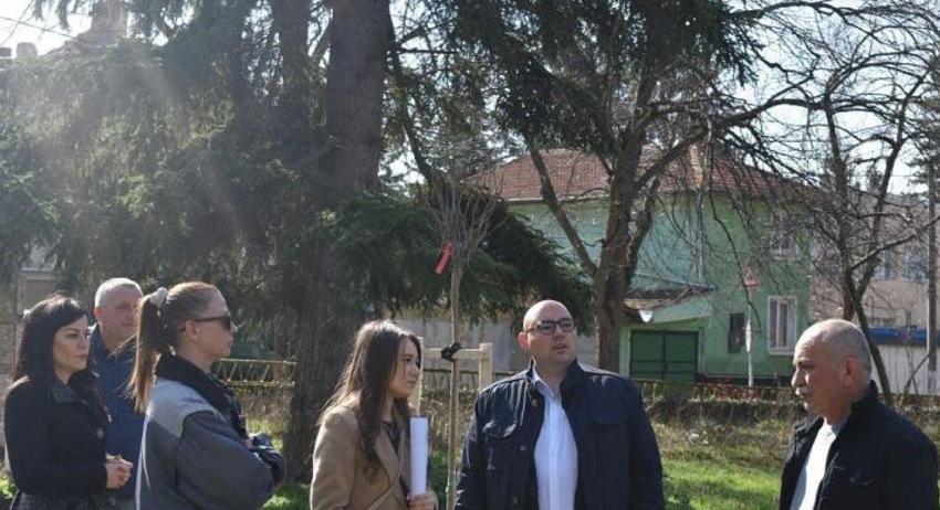 Засаждат над 100 нови храсти и дървета в Градския парк