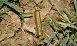 Двама са задържани за бракониерство в Кубрат