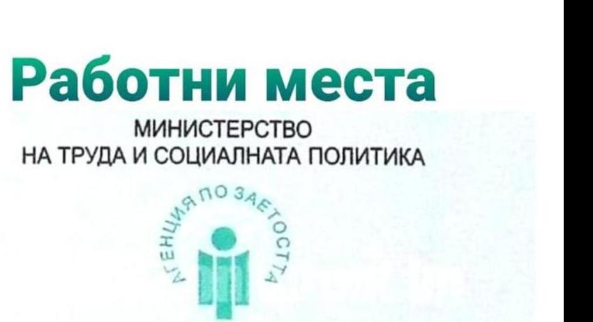 Свободни работни места в област Разград към 4 май 2026 г.