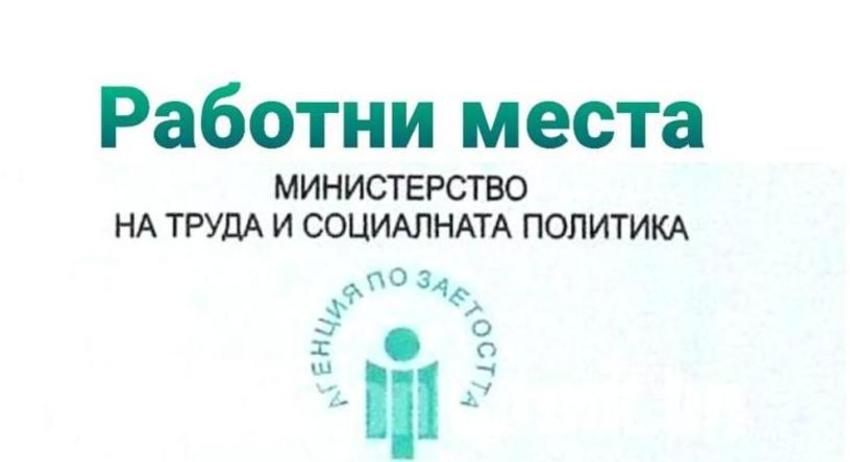 Свободни работни места в област Разград от 17 август 2026 г.
